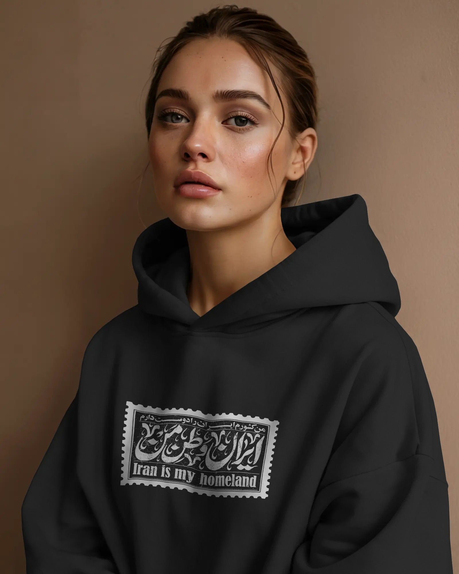 Iran Homeland Stamp Oversized Hoodie | Vintage Persian Design