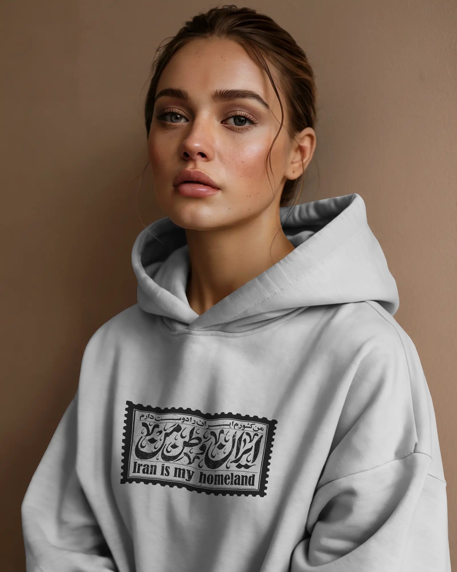 Iran Homeland Stamp Oversized Hoodie | Vintage Persian Design