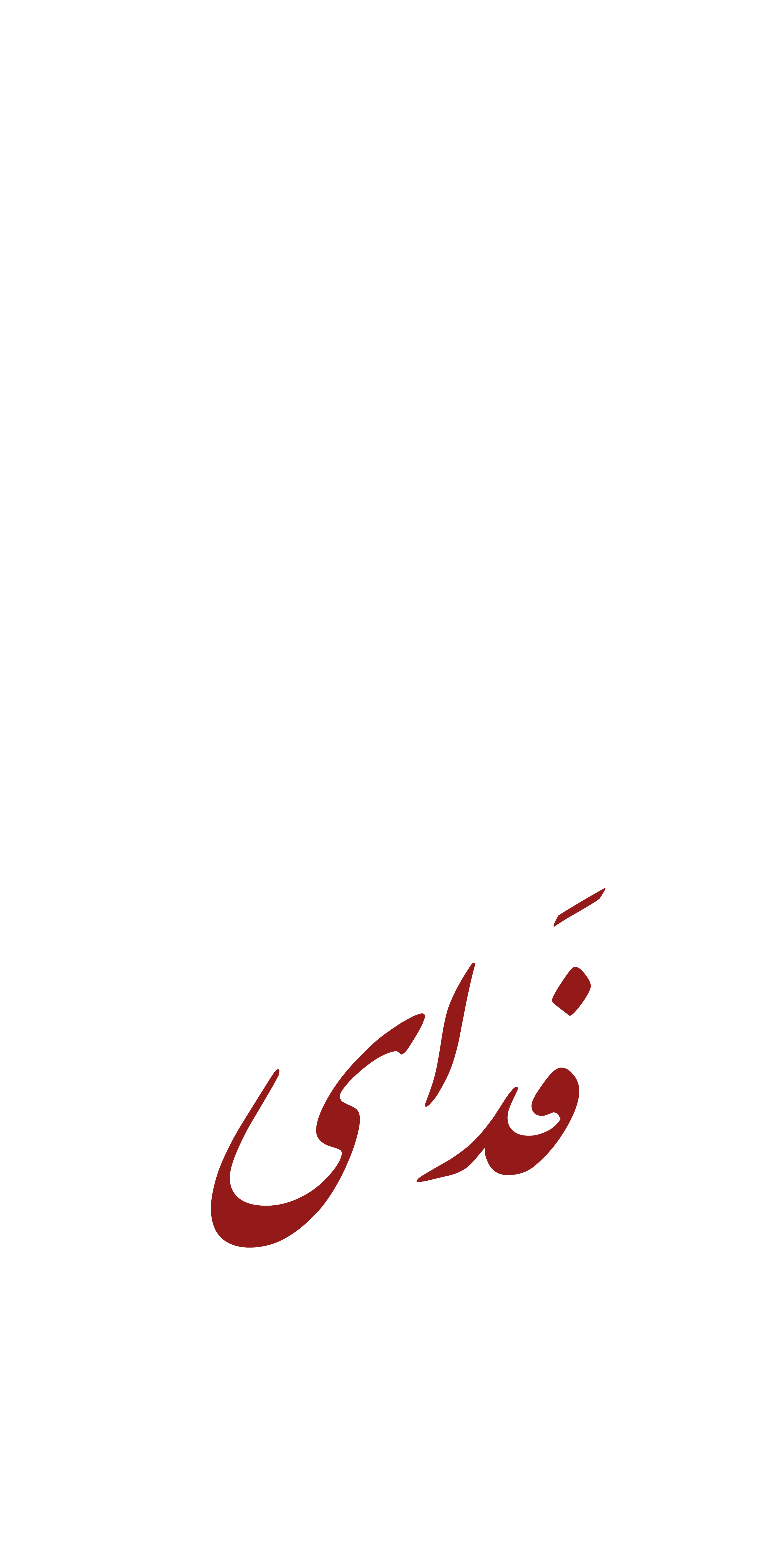 Persian Typography Iran Pride T-shirt | Patriotic Farsi Design | Iran Cultural Streetwear