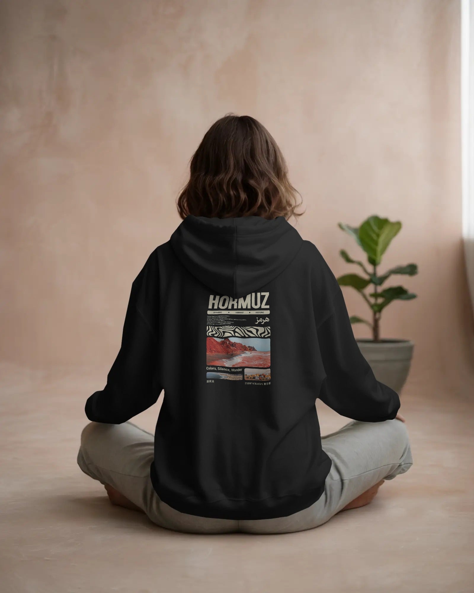 Hormuz Island (Oversized Hoodie) | Persian Landscape Minimal Design