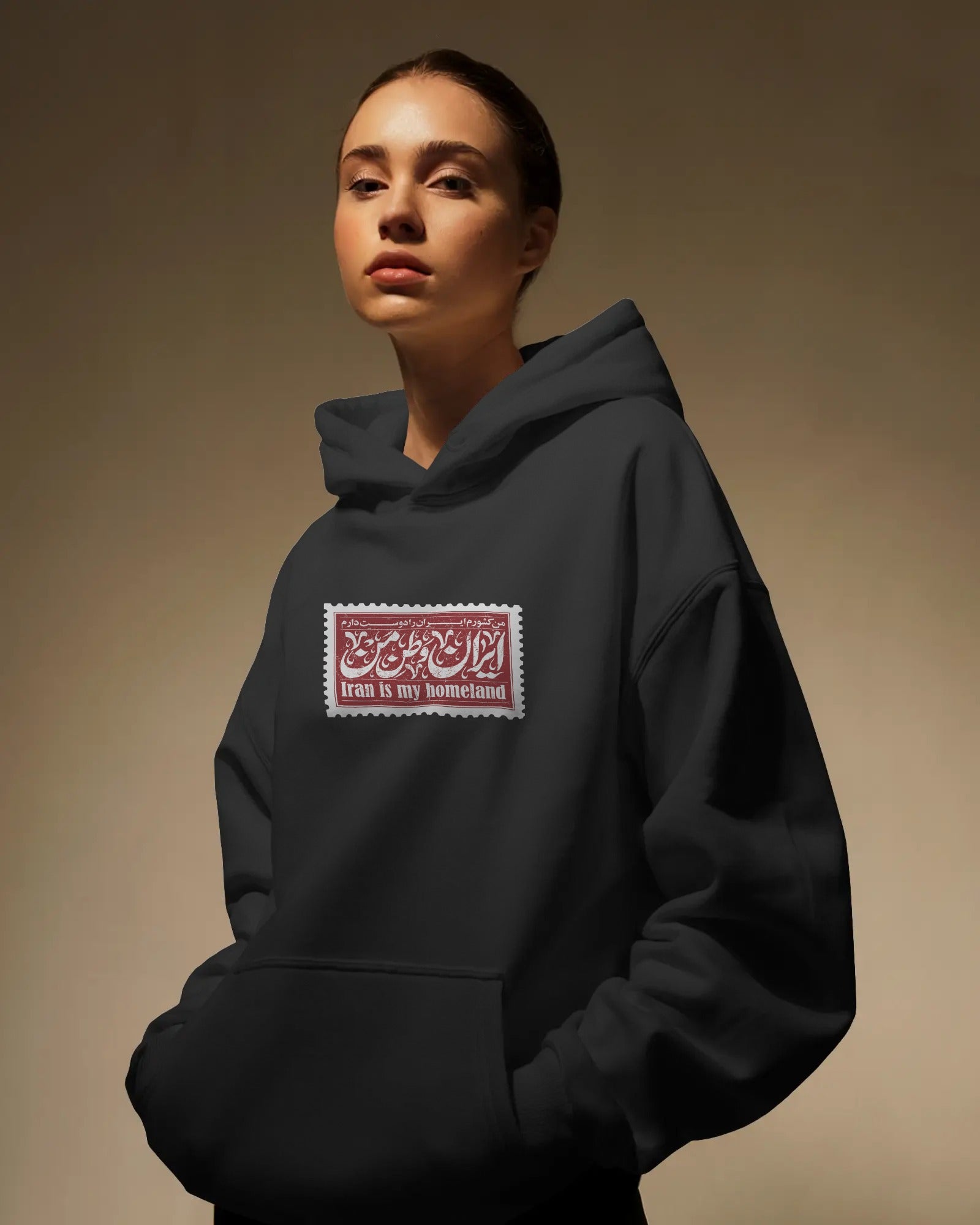 Iran Homeland Stamp Oversized Hoodie | Vintage Persian Design