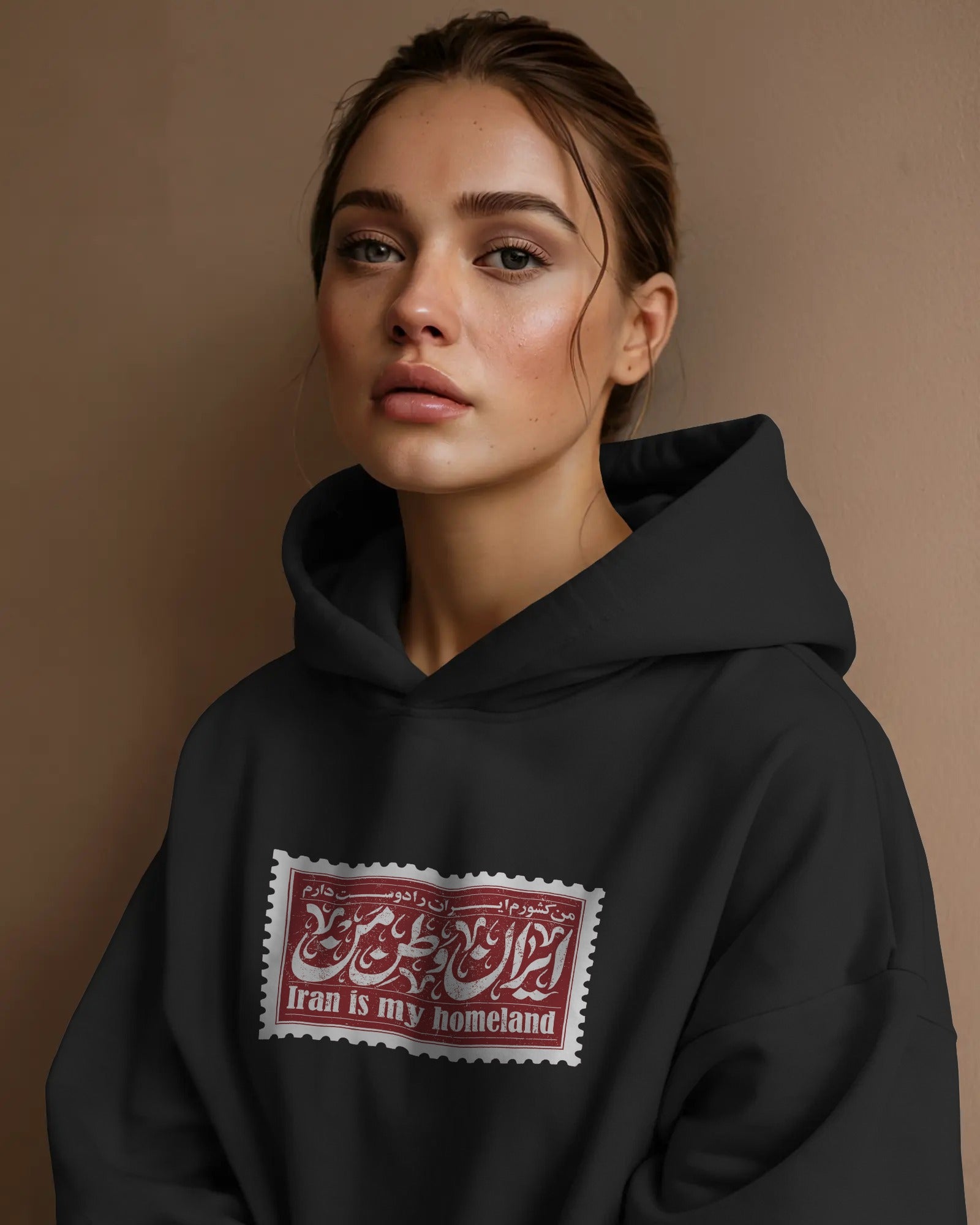 Iran Homeland Stamp Oversized Hoodie | Vintage Persian Design