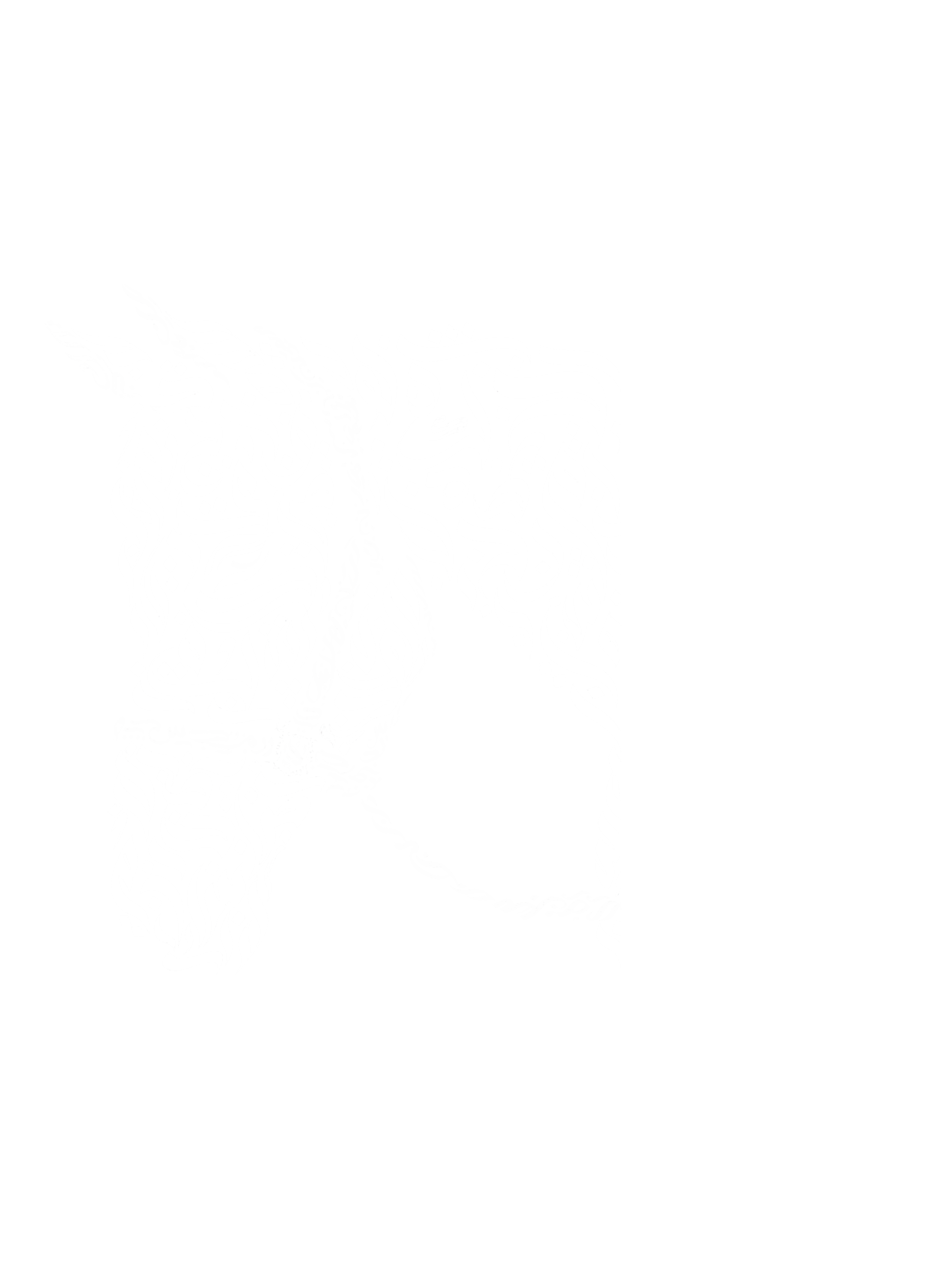 Persian Calligraphy Horse Oversized T-Shirt | Artistic Iranian Design