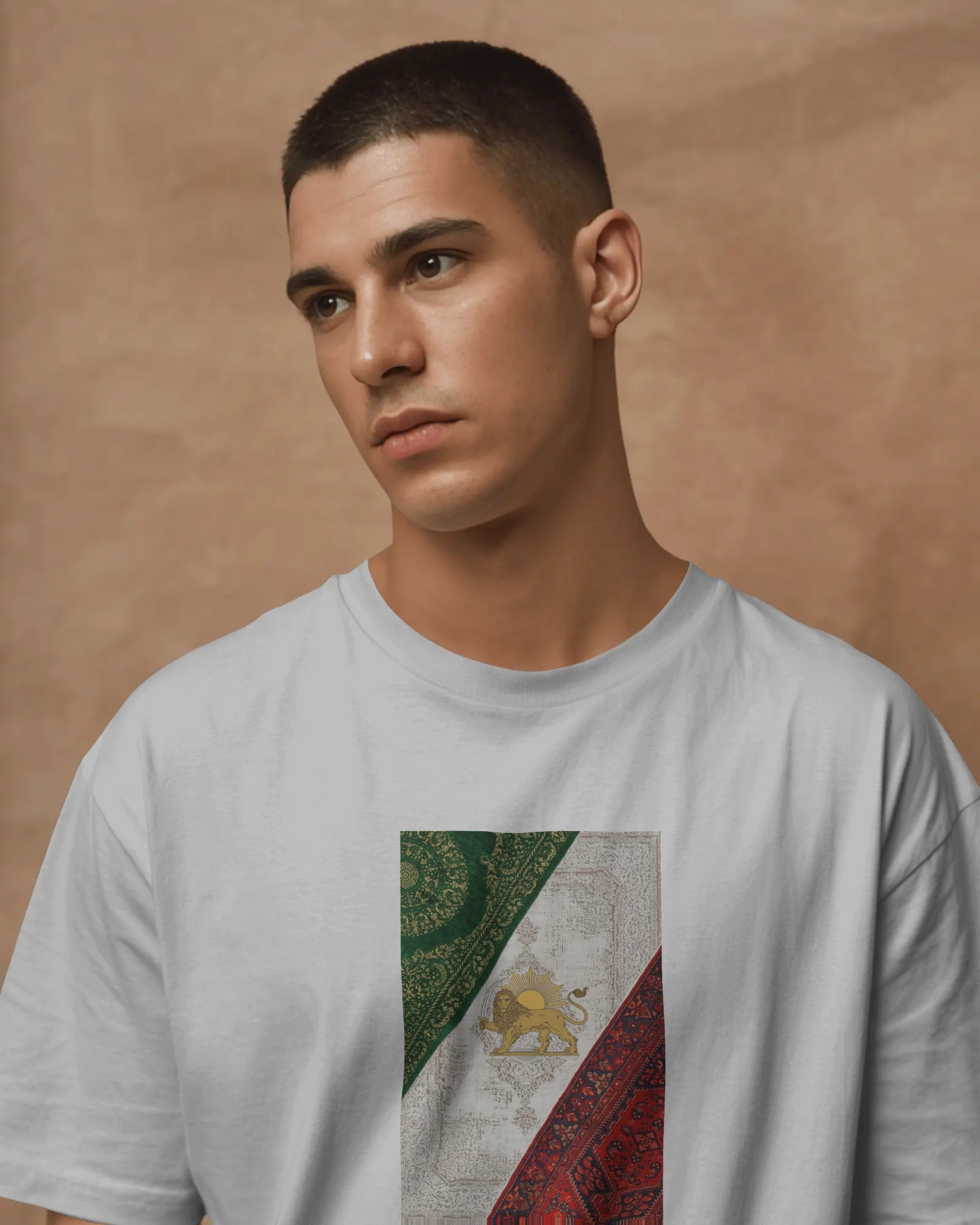 Lion & Sun Iran Flag تیشرت | Persian Vintage Flag Design | Iranian Heritage Graphic