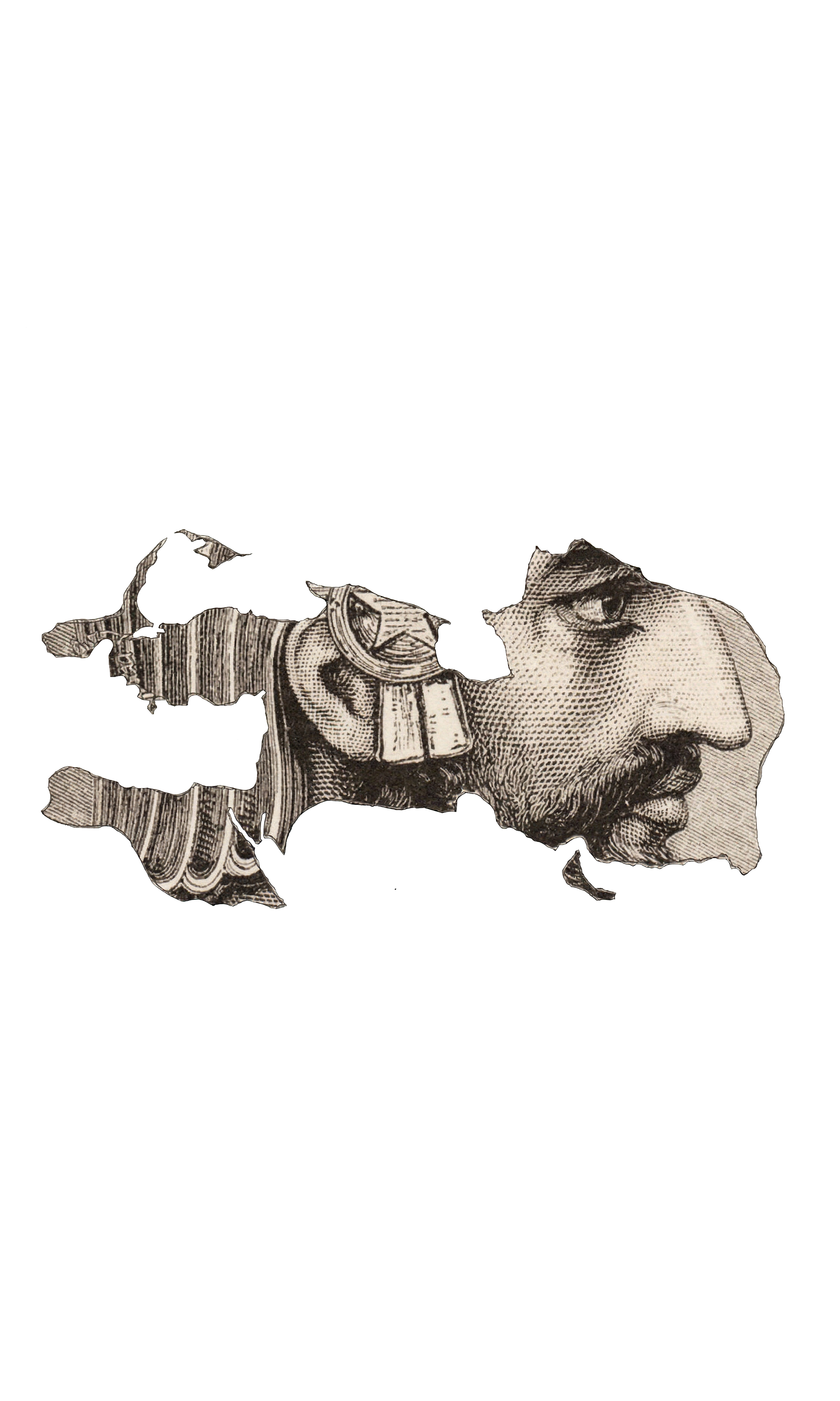 Cyrus the Great Map T-Shirt | Persian Heritage Graphic T-Shirt | FaraDesign