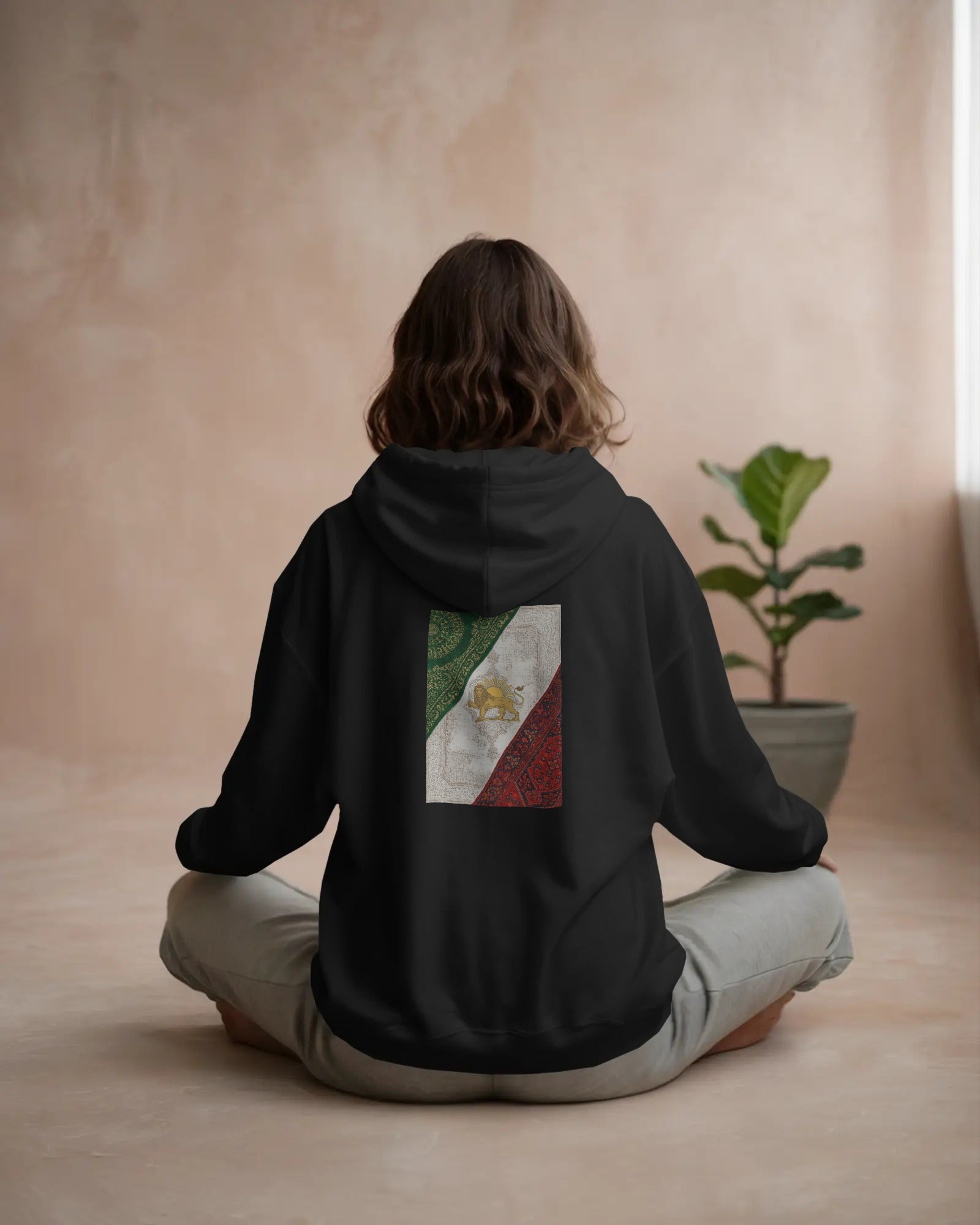 Lion & Sun Oversized Hoodie – Persian Flag Design