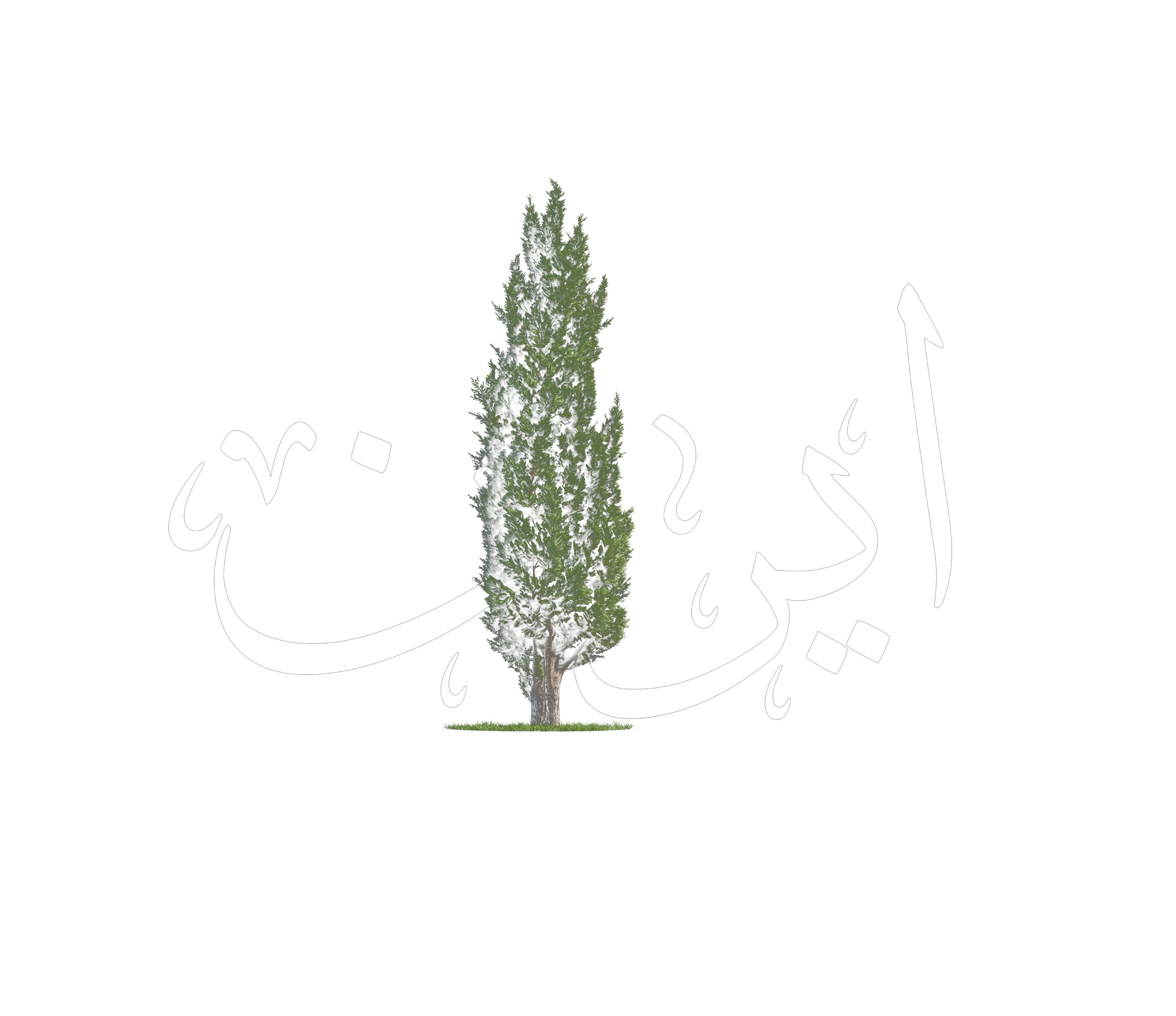 Iran Cypress Calligraphy T-Shirt | Women Oversized